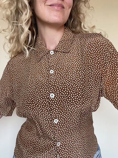 Brown Polka Dot Blouse